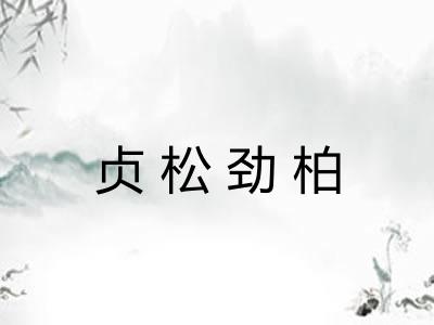 贞松劲柏 贞松劲柏
