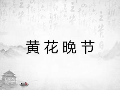 黄花晚节 黄花晚节