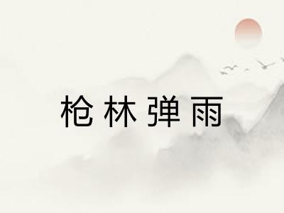 枪林弹雨 枪林弹雨