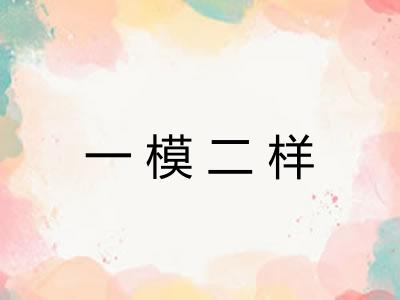 一模二样