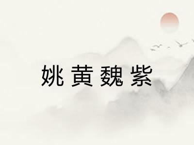 姚黄魏紫 姚黄魏紫