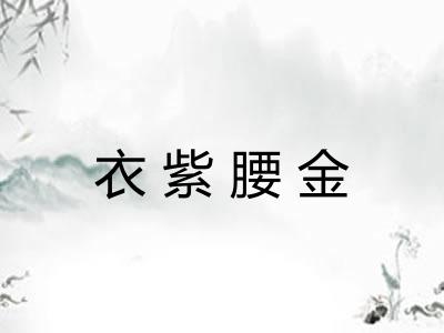 衣紫腰金 衣紫腰金