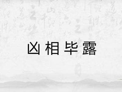凶相毕露 凶相毕露