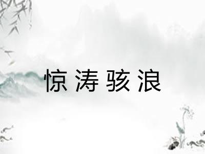 惊涛骇浪 惊涛骇浪