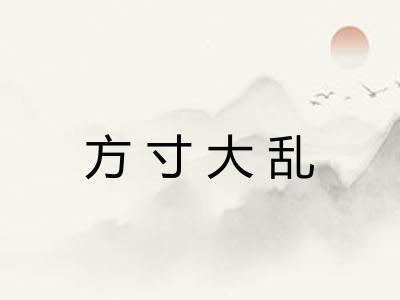 方寸大乱 方寸大乱