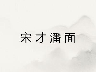 宋才潘面 宋才潘面