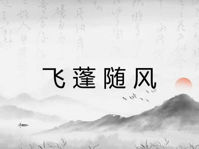 飞蓬随风 飞蓬随风