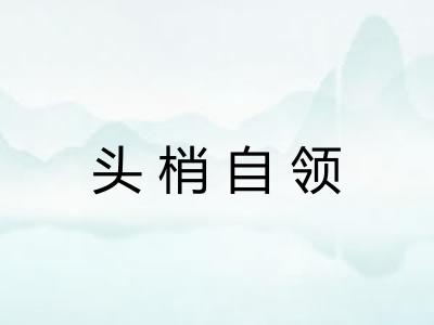头梢自领