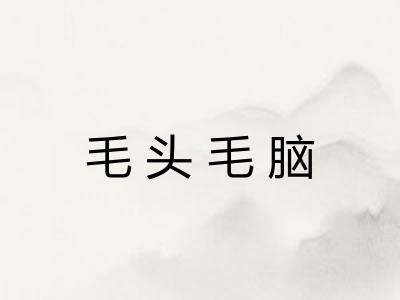 毛头毛脑 毛头毛脑