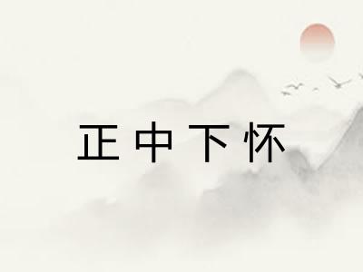 正中下怀 正中下怀
