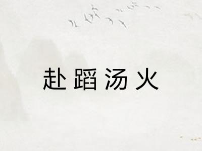 赴蹈汤火 赴蹈汤火