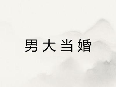 男大当婚