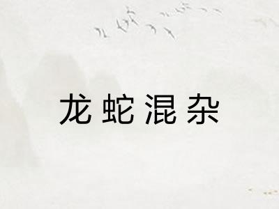 龙蛇混杂 龙蛇混杂