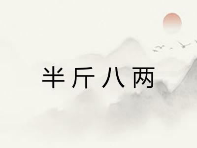 半斤八两 半斤八两