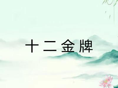 十二金牌