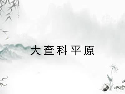 大查科平原 大查科平原