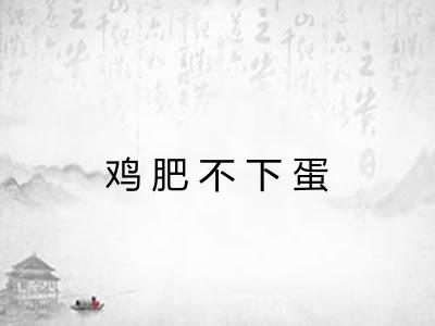 鸡肥不下蛋 鸡肥不下蛋