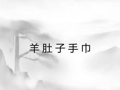 羊肚子手巾 羊肚子手巾