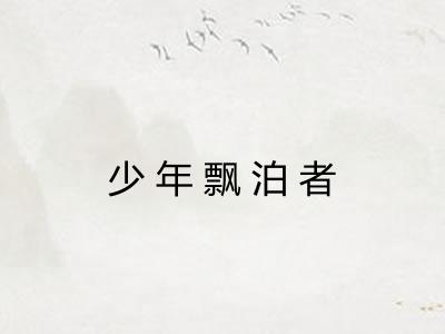 少年飘泊者 少年飘泊者