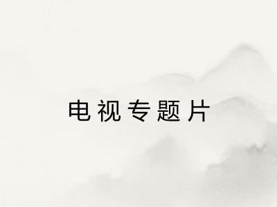 电视专题片