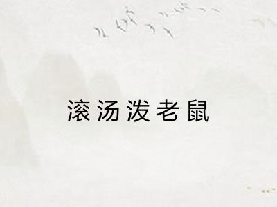 滚汤泼老鼠 滚汤泼老鼠