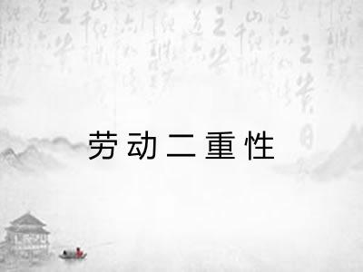 劳动二重性 劳动二重性