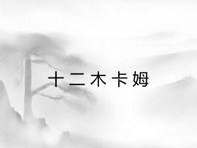十二木卡姆 十二木卡姆