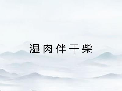 湿肉伴干柴 湿肉伴干柴