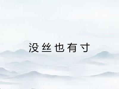 没丝也有寸