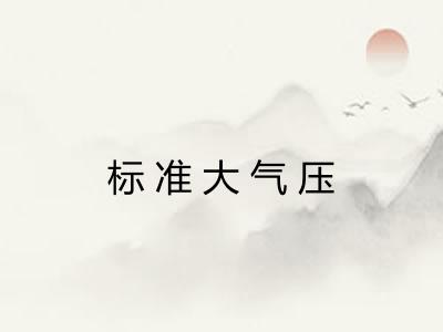 标准大气压 标准大气压