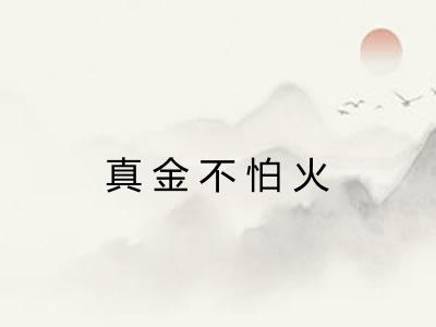 真金不怕火 真金不怕火