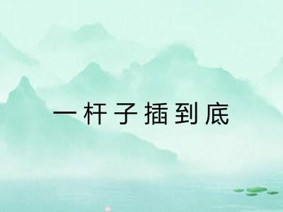 一杆子插到底 一杆子插到底