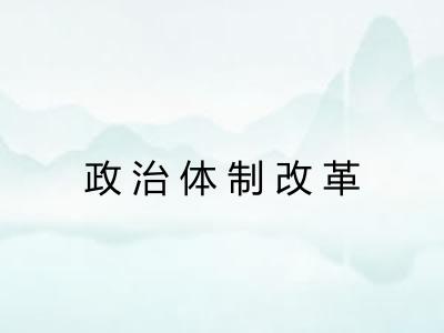政治体制改革 政治体制改革