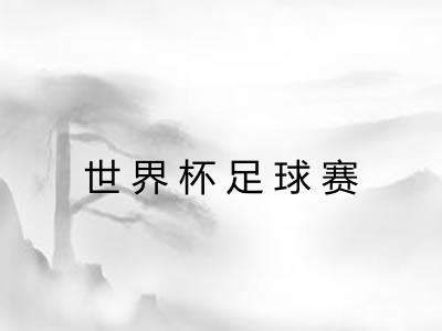 世界杯足球赛 世界杯足球赛