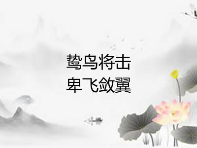鸷鸟将击卑飞敛翼 鸷鸟将击卑飞敛翼
