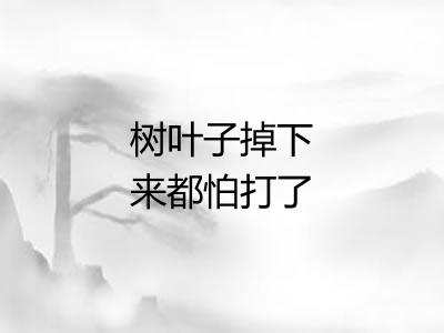 树叶子掉下来都怕打了头